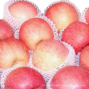 New Crop Chinese FUJI Apple